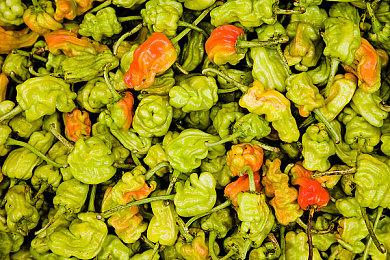 《魔戒：咕噜》PC版性能表现分析：只能用糟糕来形容